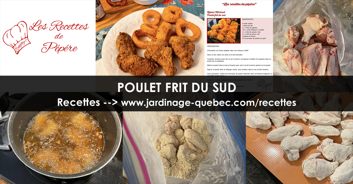 Poulet frit du sud