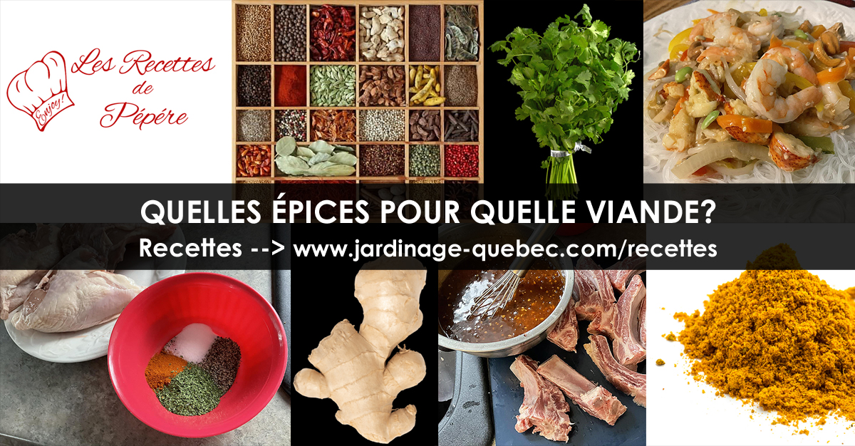 Quelles épices pour quelle viande?