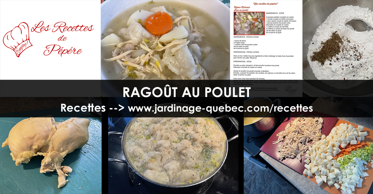 Ragoût au poulet