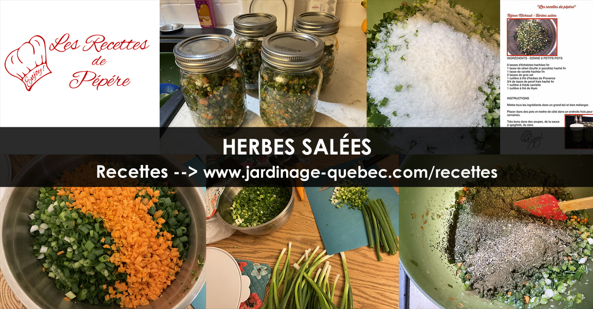 Herbes salées maison