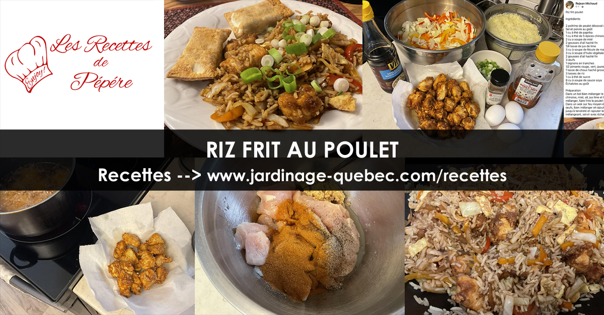 Riz frit au poulet