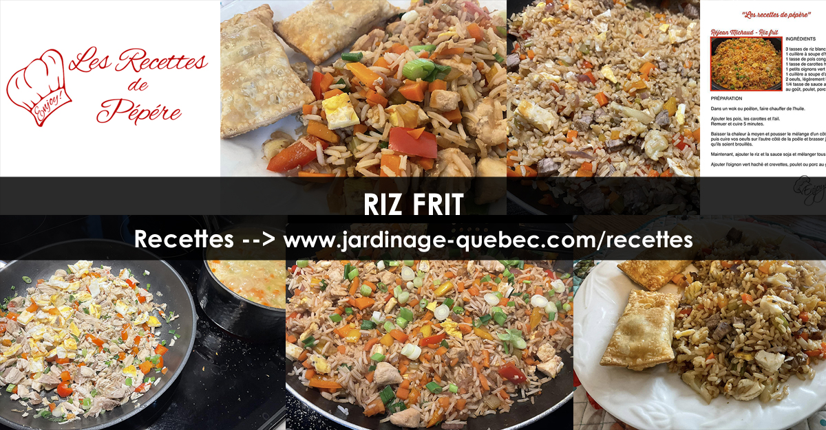 Riz frit