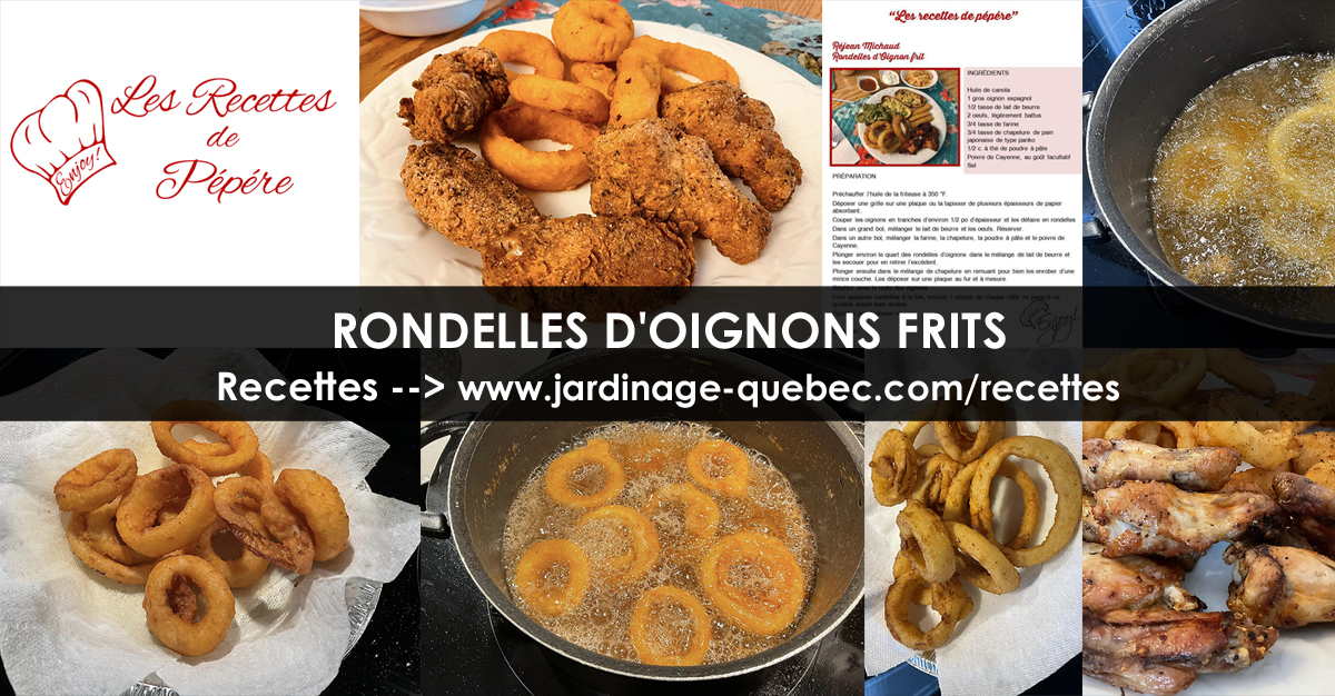 Rondelles d'oignons frits