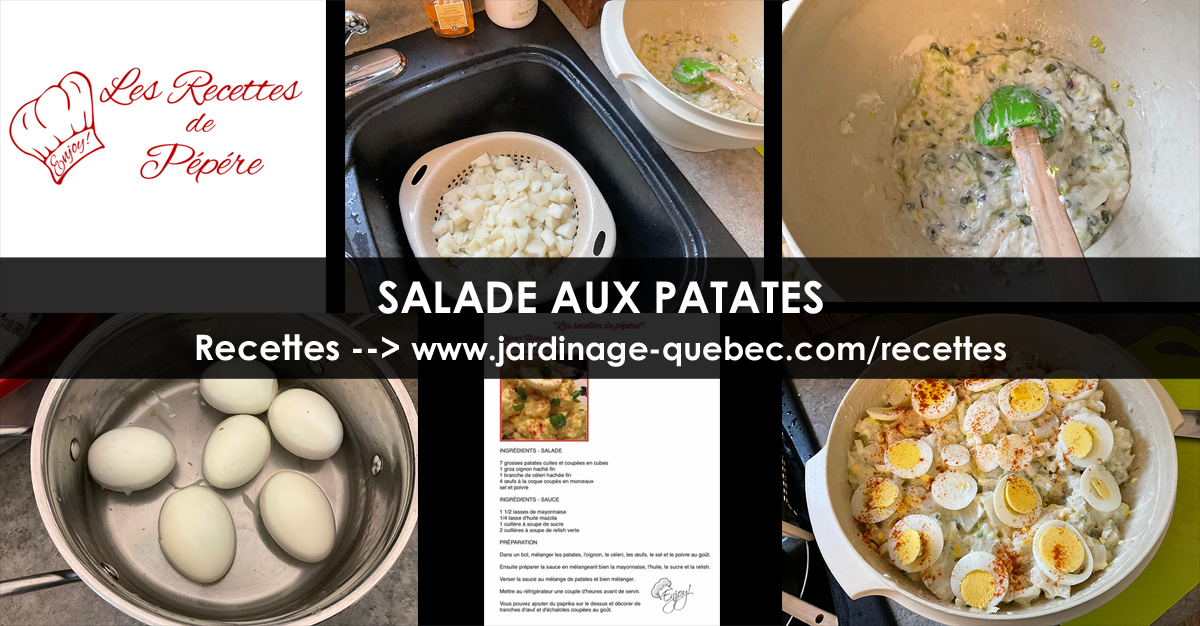 Salade aux Patates