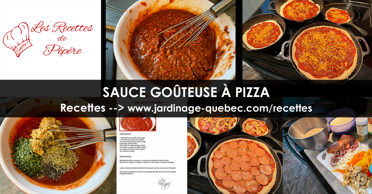Sauce à pizza goûteuse