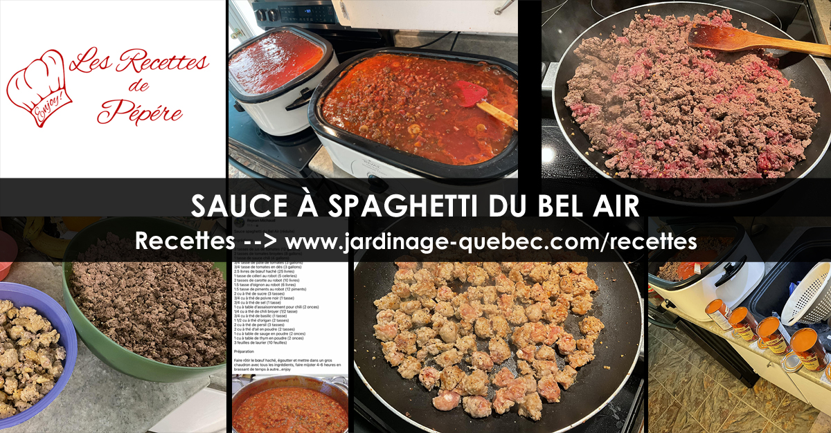 Sauce à spaghetti du Bel Air