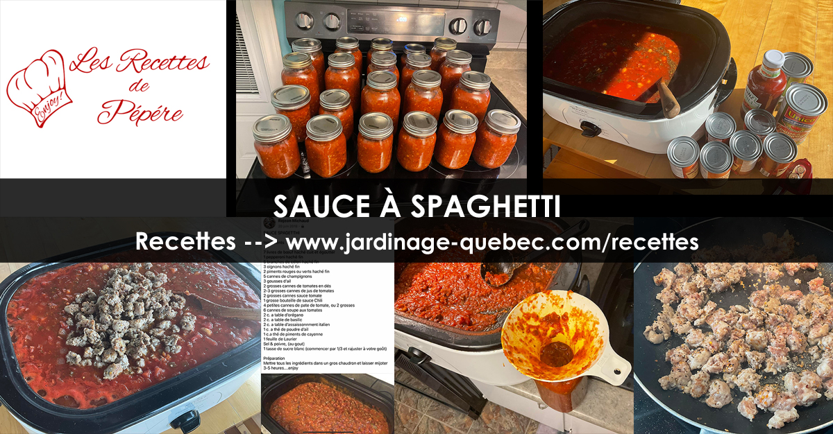 Sauce à spaghetti