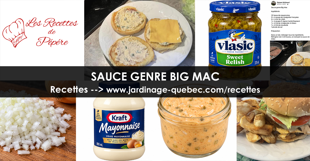 Sauce Big Mac maison