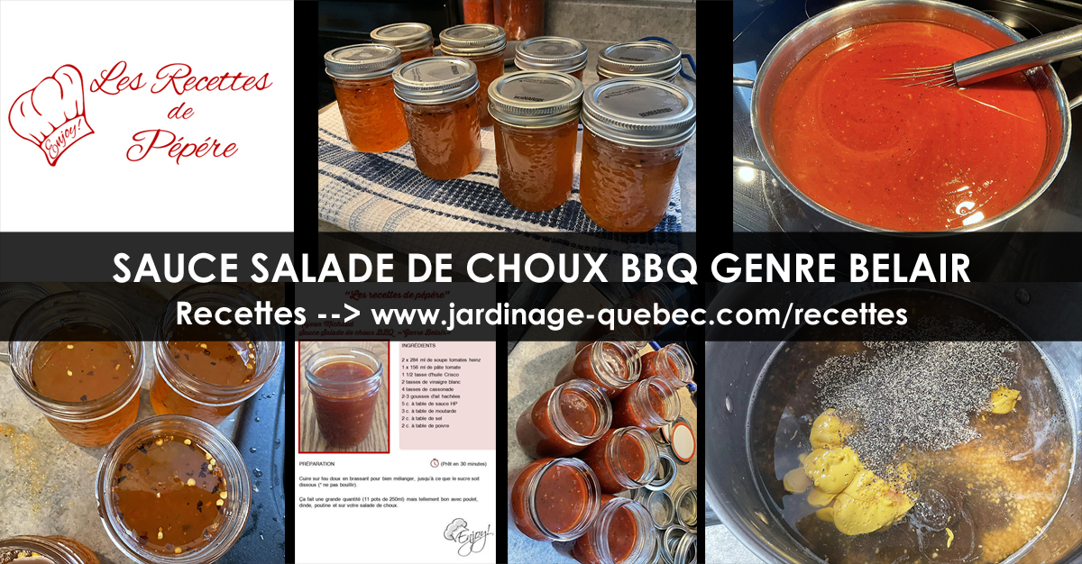 Sauce salade de choux BBQ genre Belair