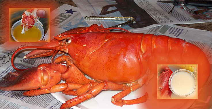 Recette de Sauce pour Homard