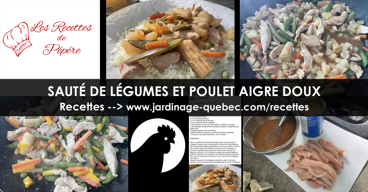 Sauté aux légumes et poulet aigre doux