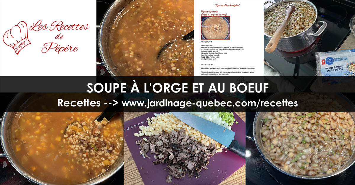 Soupe à l'orge et au boeuf