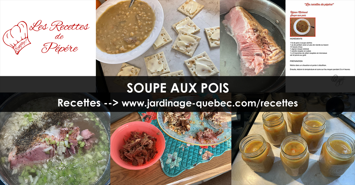 Soupe aux pois traditionnelle québécoise