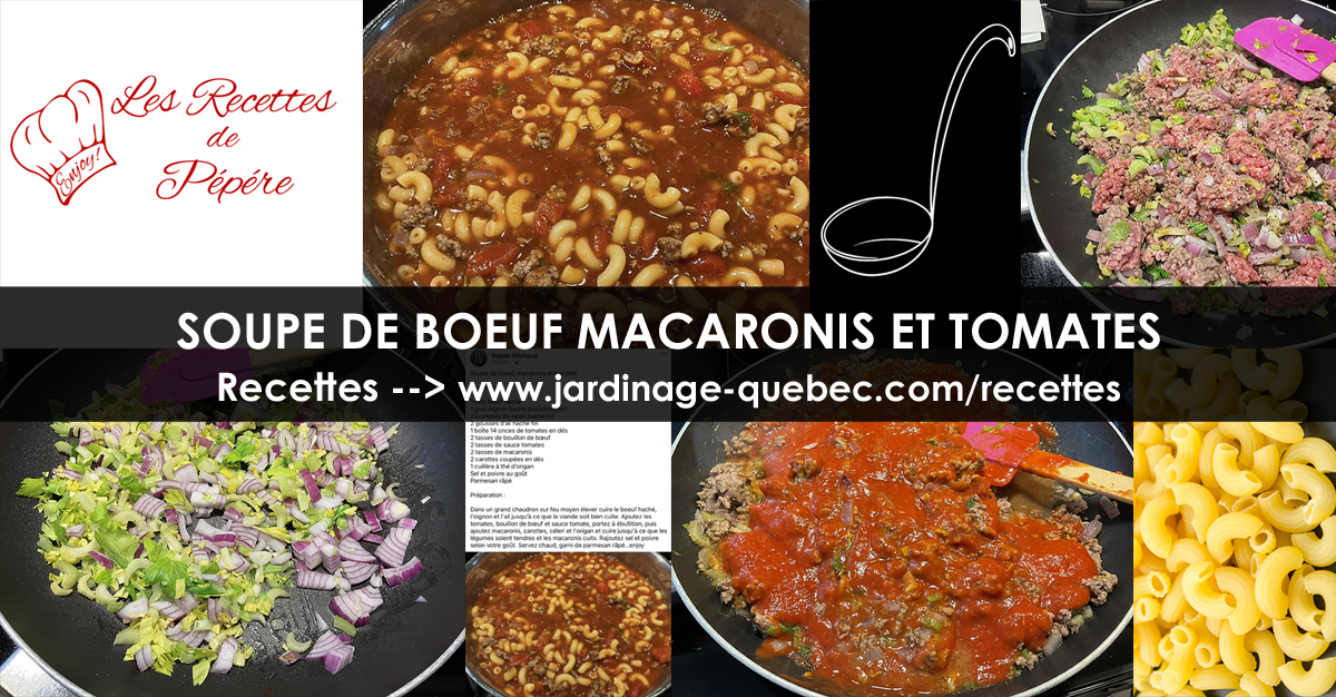 Soupe de bœuf macaronis et tomates