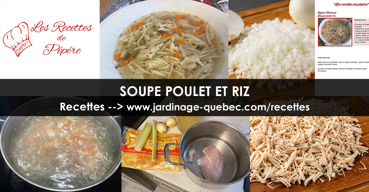 Soupe au poulet et au riz