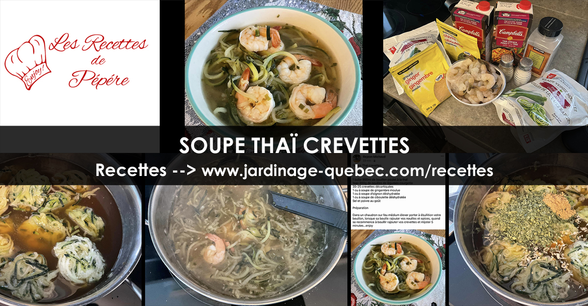 Soupe Thaï crevettes