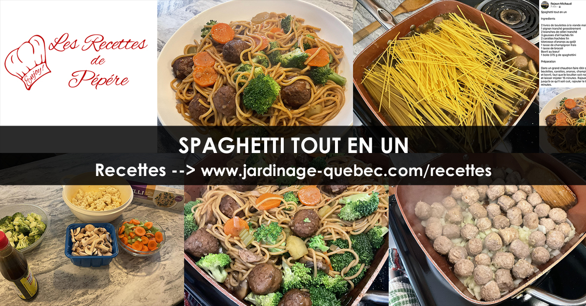 Spaghetti tout-en-un