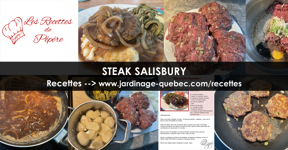 Steak salisbury