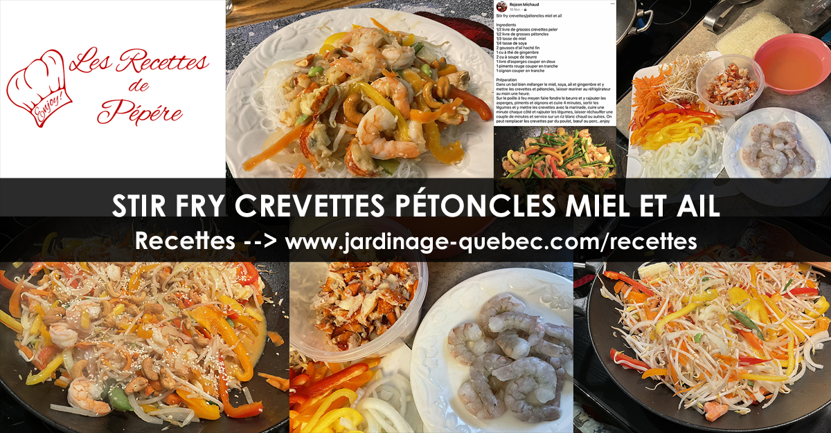 Stir Fry Crevettes Pétoncles Ail et Miel