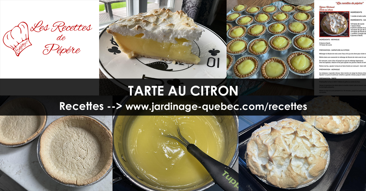 Tarte au citron meringuée
