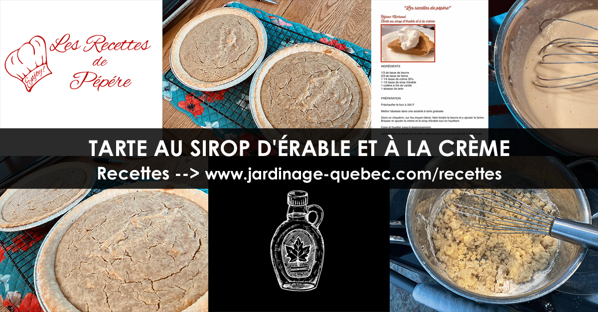 Tarte au sirop d'érable et à la crème