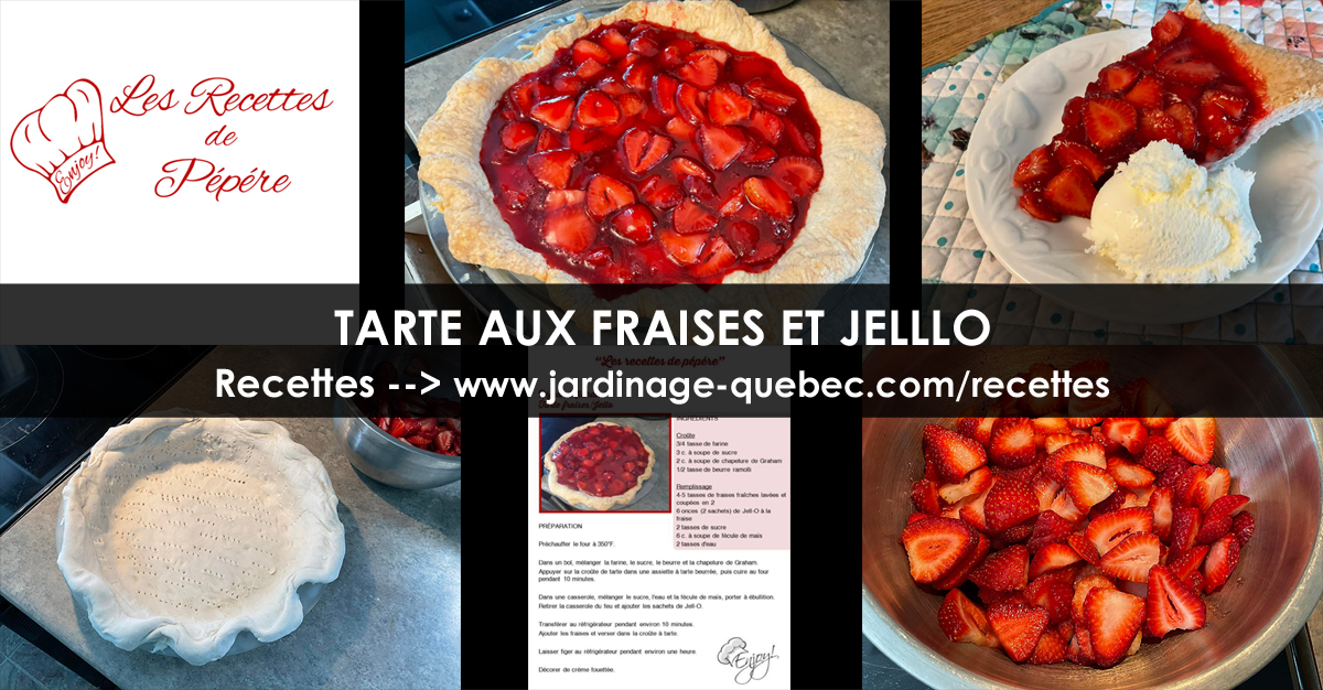 Tarte aux fraises et Jello - Recette
