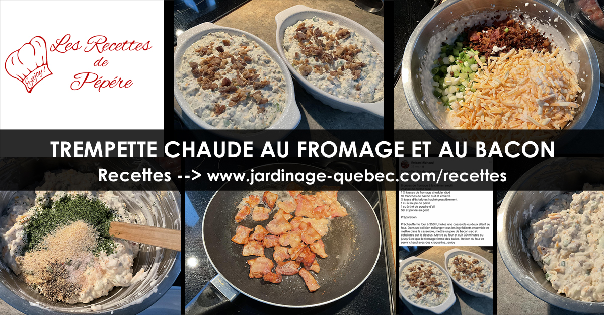 Trempette chaude au fromage et au bacon