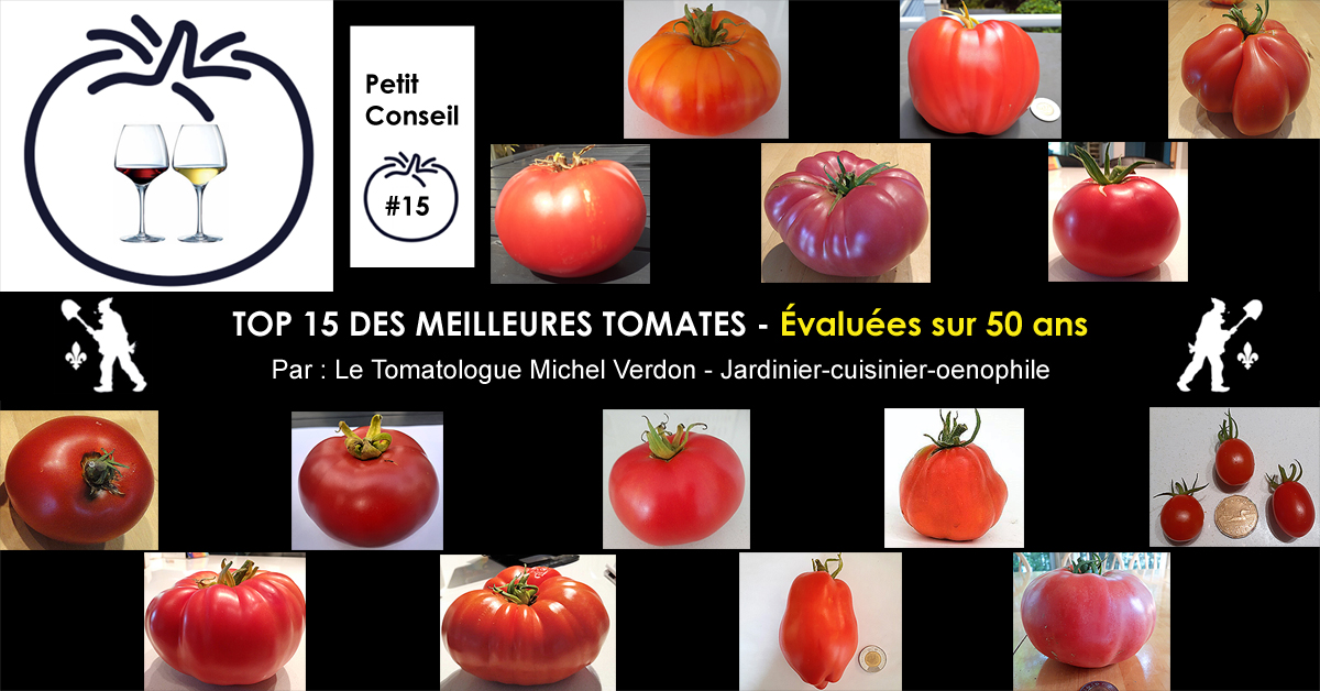 Meilleures variétés de tomates