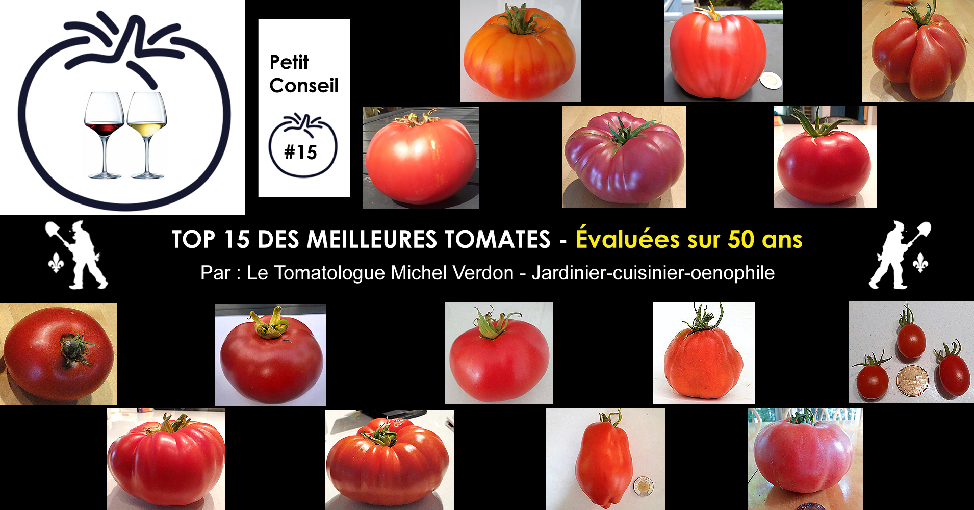 Meilleures Variétés de Tomates à Découvrir selon le Tomatologue Michel  Verdon