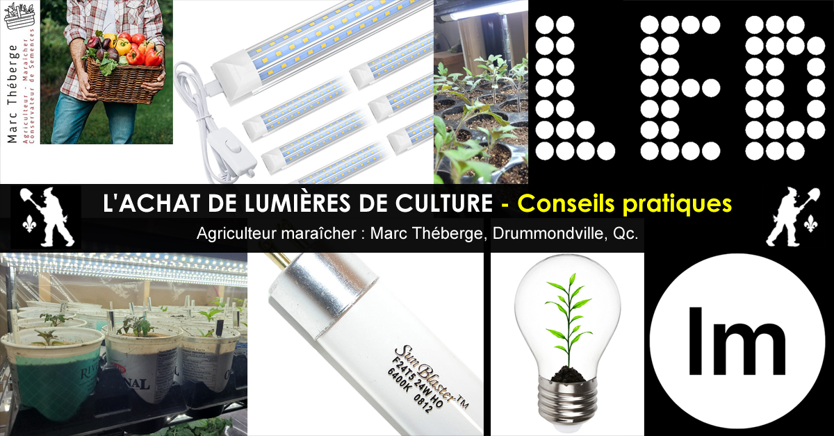 Lumières de culture