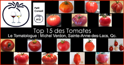 15 meilleurs cultivars de tomates
