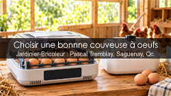 Couveuse à œufs : modèles, choix et conseils d’achat