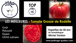 Tomate Grosse Rodelle - 15 meilleurs cultivars de tomates