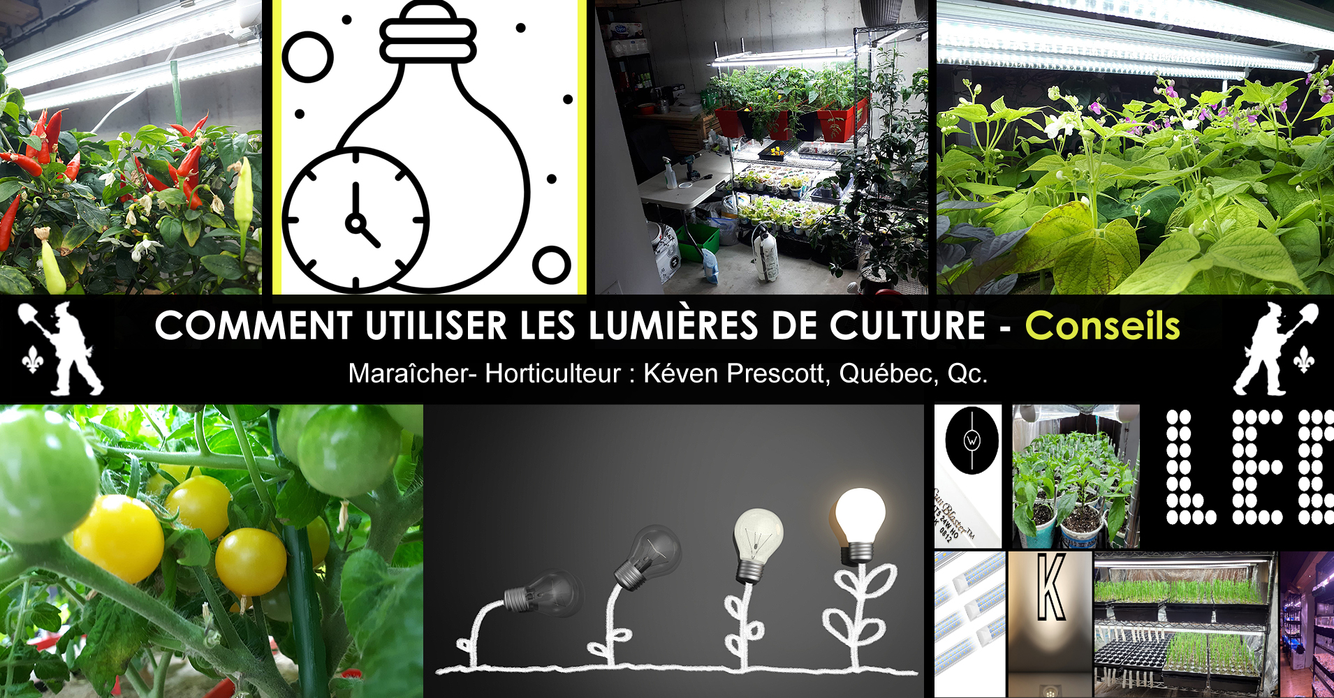Lampe De Plante,Lampe Horticole,Cultivez La Iumière,Lampe De