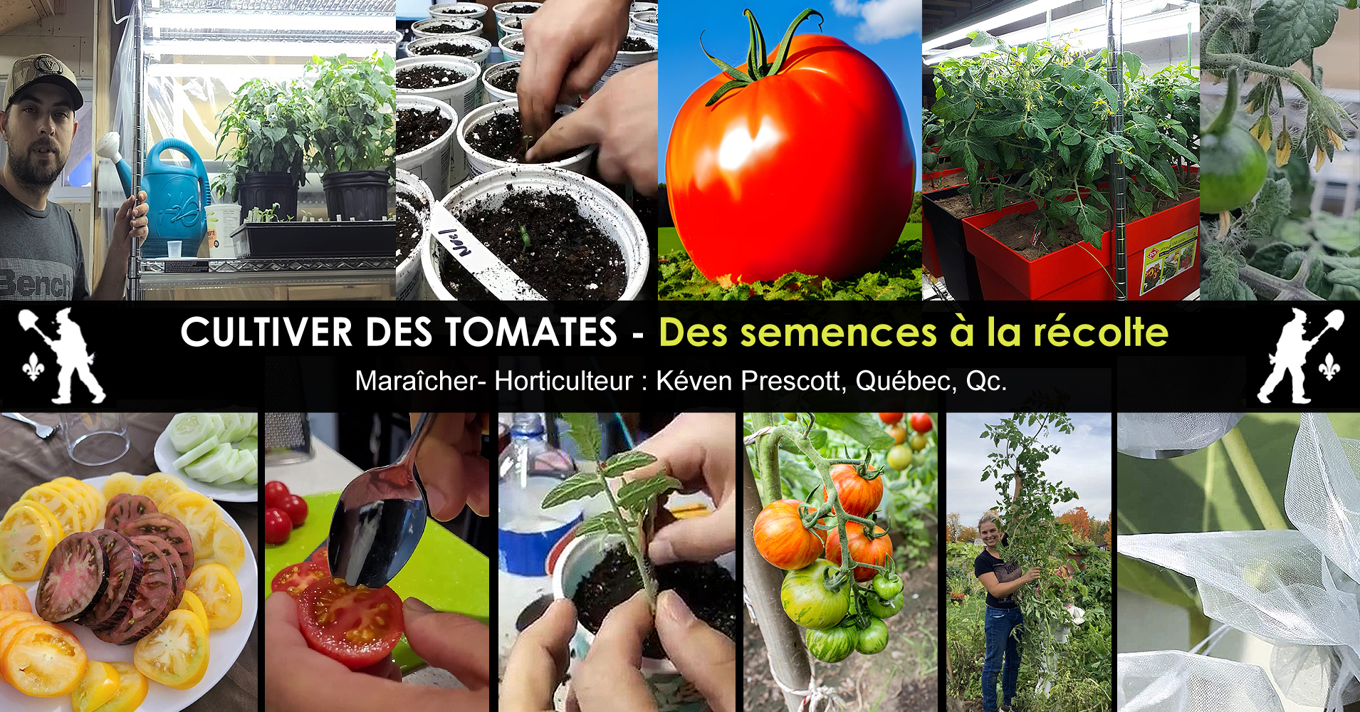 Meilleures Variétés de Tomates à Découvrir selon le Tomatologue Michel  Verdon