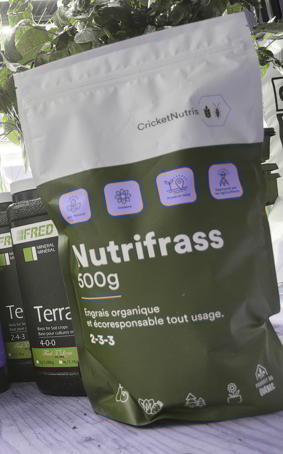 Nutrifrass
