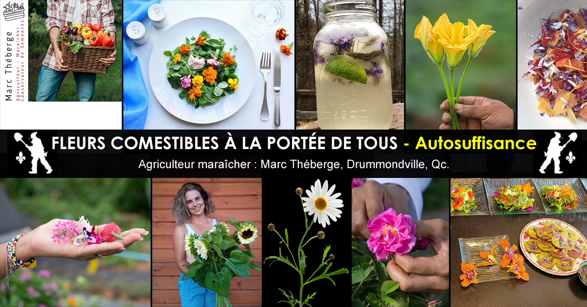 Fleurs comestibles