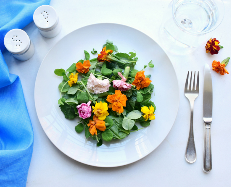 Mangez des fleurs comestibles : hémérocalle, bourrache…