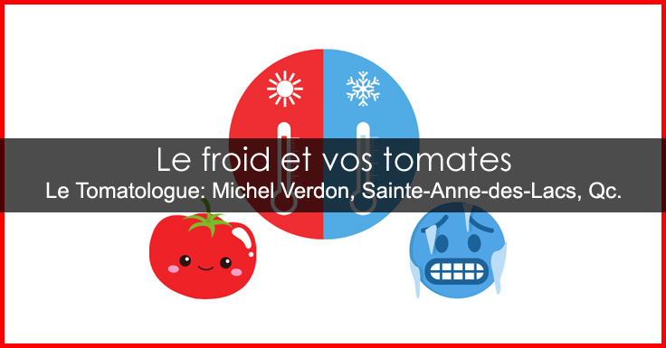 Tomates froid