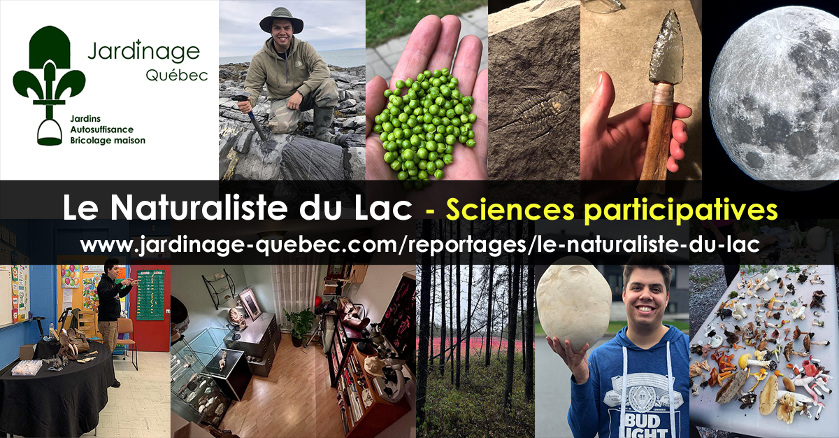 Le Naturaliste du Lac - Mathieu Tremblay Collaborateur de Jardinage Bricolage Autosuffisance Recyclage Québec