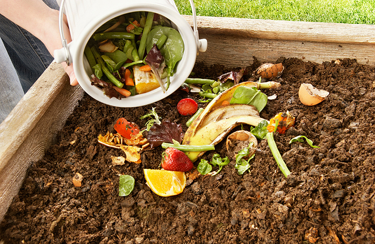 Le compost comme engrais naturel