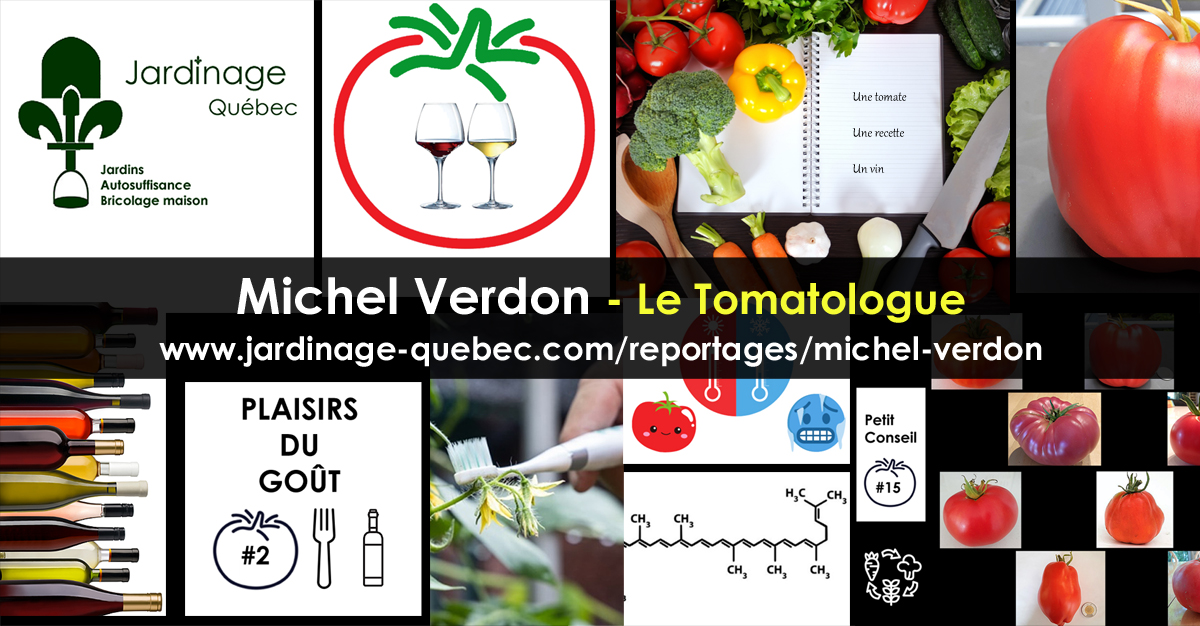 Michel Verdon le Tomatologue