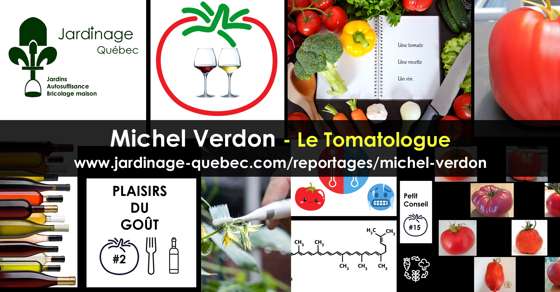Meilleures Variétés de Tomates à Découvrir selon le Tomatologue Michel  Verdon