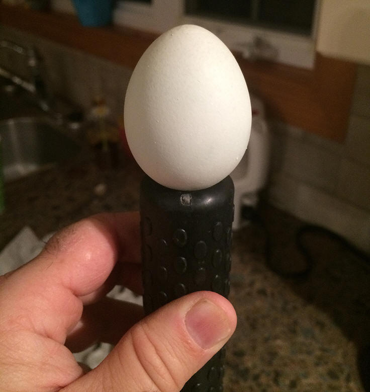 Comment utiliser un mire-oeufs