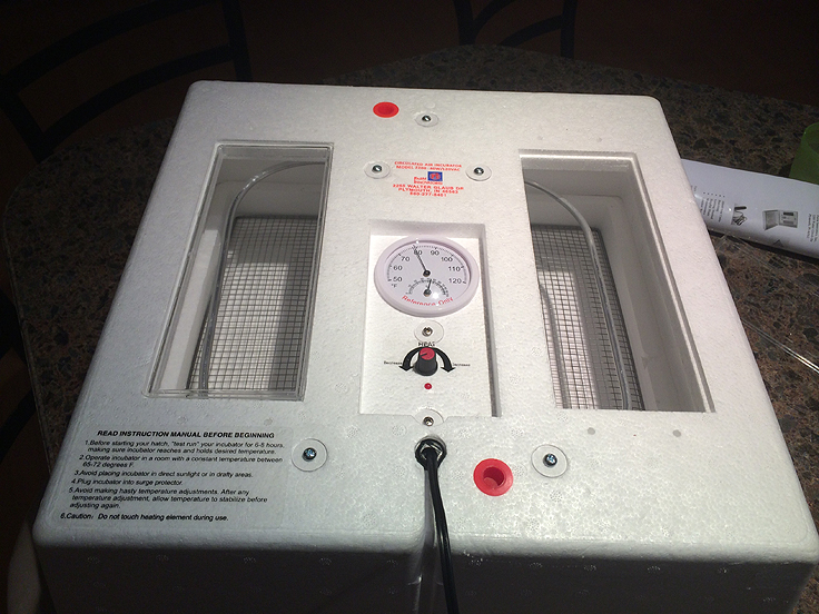 Couveuse automatique