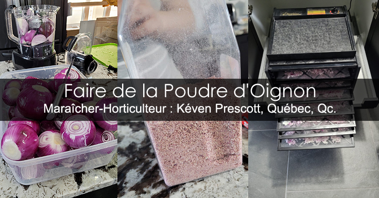 Poudre d'Oignon - Recettes des Autosuffisants