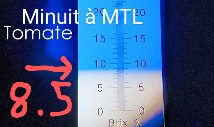 Degré Brix