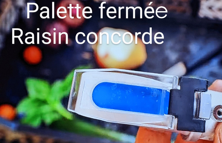 Choisir réfractomètre