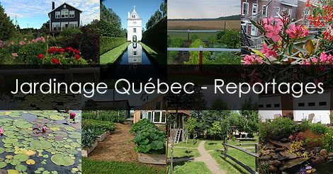 Articles et Reportages - Jardin Potager du Québec - Jardinage Bricolage Autosuffisance et Nature