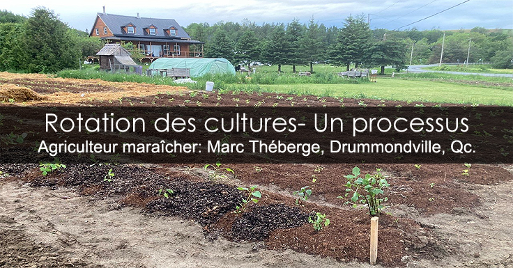 Rotation des cultures : Techniques efficaces